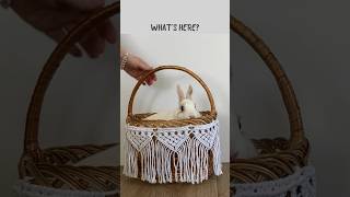 Make your Easter basket extra special! #easy #macrame #diy #shorts