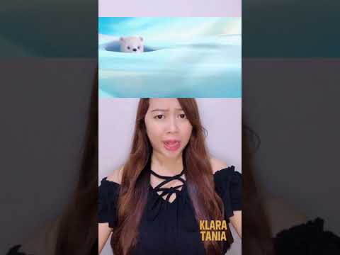 Video: Apakah panggangan beruang masih menikah?