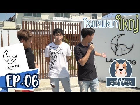 โรงแรมหมาใหญ่ Lazy dog hotel | The PETTO EP.06