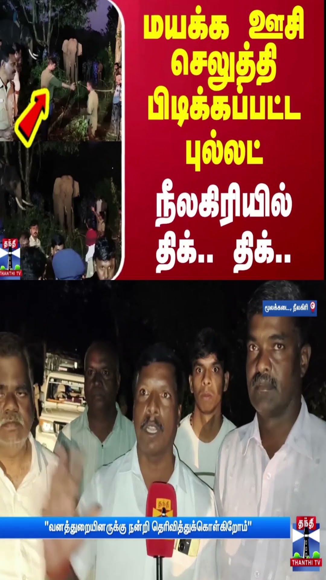 மயக்க ஊசி செலுத்தி பிடிக்கப்பட்ட புல்லட் - நீலகிரியில் திக்.. திக்.. | Bullet Elephant | Nilgiris