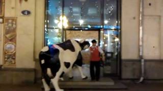 The Cow goes to restaurant \\ Корова идет в ресторан