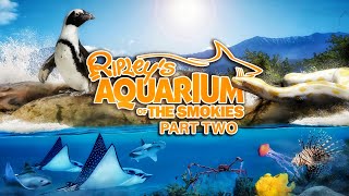 Zoo Tours Ep. 92: The Ripleys Aquarium of the Smokies | Part Two