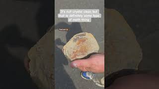 #fossil found in #nj at #work #youtube #discovery #new #foryou