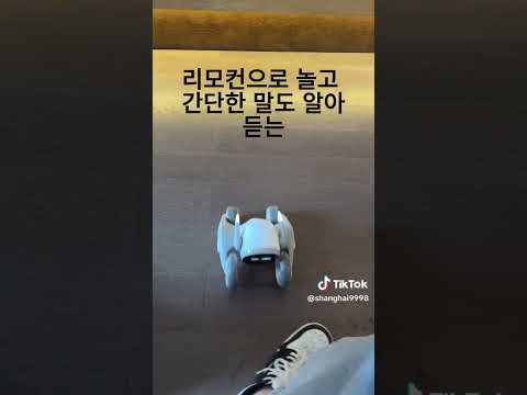 해외에서 인기! AI반려동물 로봇강아지  #쿠팡추천템 #쿠팡장난감