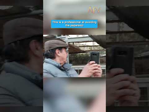 POV: You're trying to film an Emu that doesn't want to be famous 🚫📸 #funny #animals 1 POV: You're trying to film an Emu that doesn't want to be famous 🚫📸 #funny #animals
