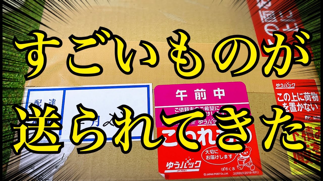 ミナミイボイモリの卵が送られてきたのでセッティングしたらすぐに孵化