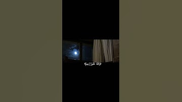 يَا أَيُّهَا الَّذِينَ آمَنُوا اتَّقُوا اللَّهَ ||تلاوة خاشعة بصوت الشيخ ياسر الدوسري 💗🌿