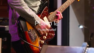 Psalternatief - Psalm 12 De Nieuwe Psalmberijming, Live