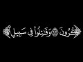 ألم ترى إلى الذين خرجوا من ديارهم وهم ألوف حذر الموت كروما قرآن سورة البقرة القارئ سعد الغامدي
