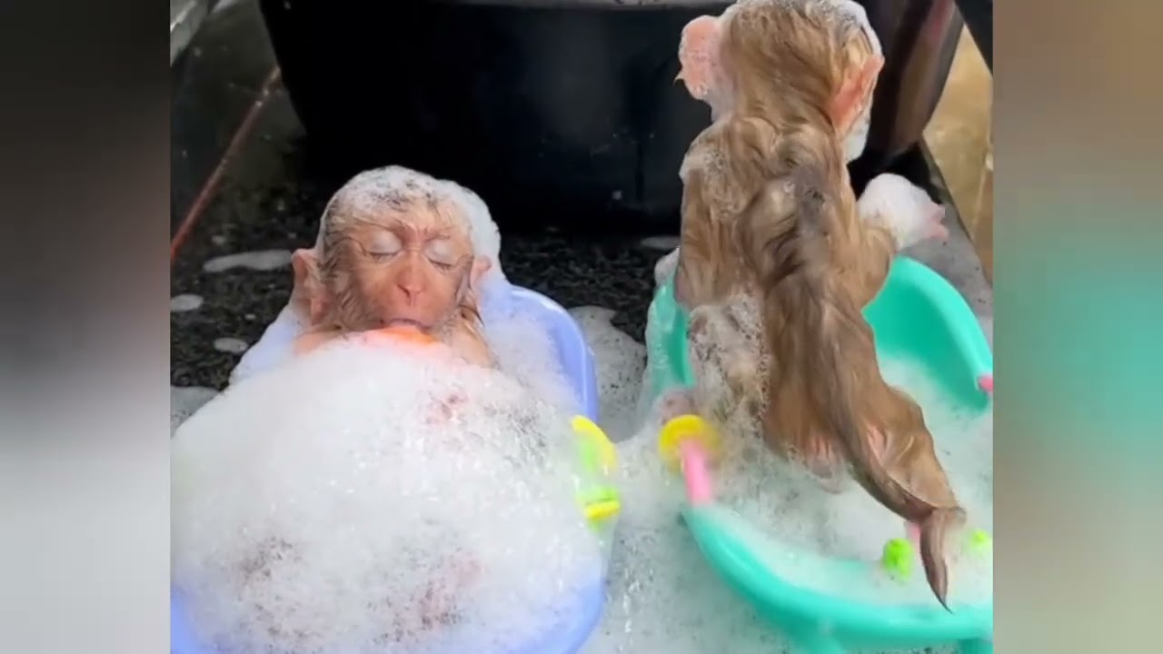 Donut Donald’s Peaceful Bath 