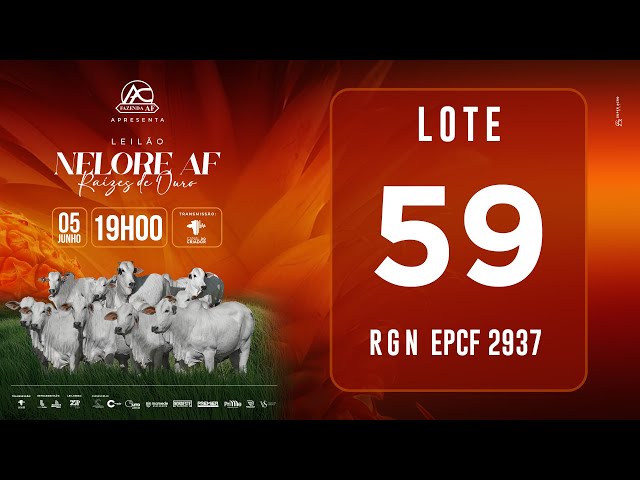 LOTE 59