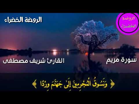 حالات واتس أب ما تيسر من سورة مريم للقارئ شريف مصطفى