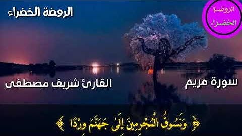 حالات واتس أب : ما تيسر من سورة مريم للقارئ شريف مصطفى