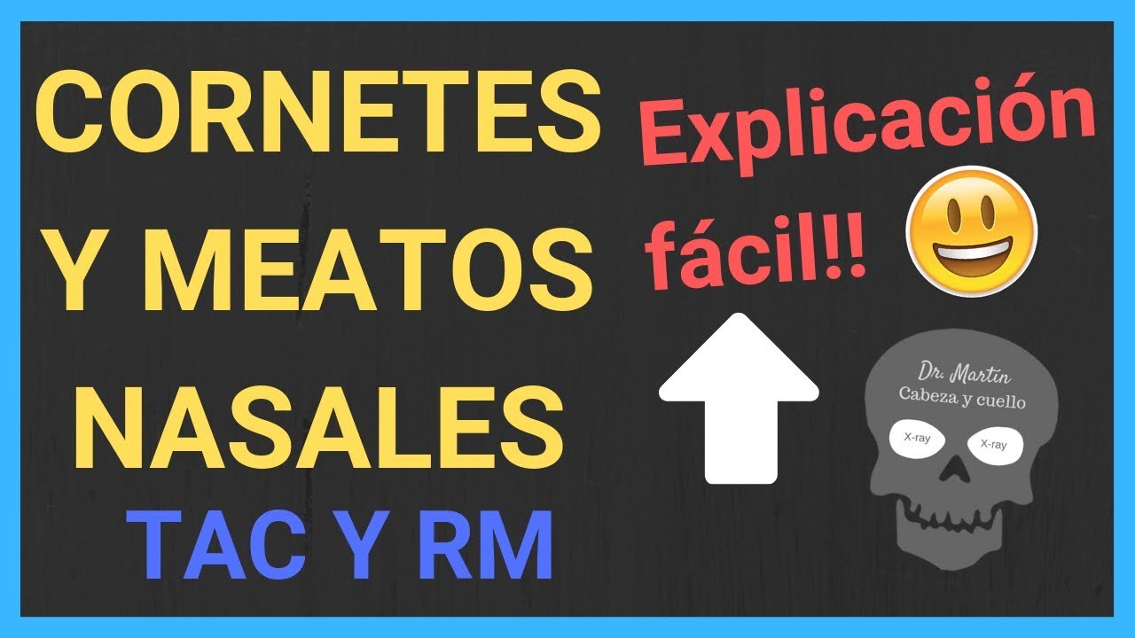 y MEATOS NASALES (TAC Y RM) anatomía YouTube