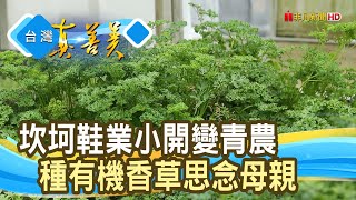 “有機香草”想念的芬芳｜寧靜海香草園｜【台灣真善美】2023.06.18