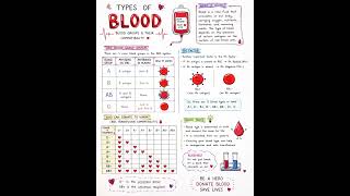 Types of Blood 🩸Notes Biology 🙌