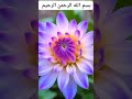 القرآن الكريم نور الصدور بسم الله الرحمن الرحيم #اكسبلور #تصويري #تيك_توك #امطار #beautiful #لايك