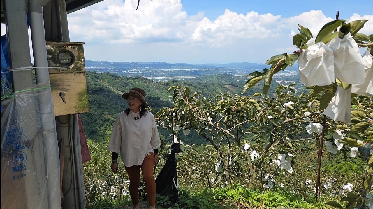 高海拔800公尺大雪山388萬台中東勢輕屋齡鋼構約6年可使用空間約12坪便宜農地605坪有水有電有水塔約22大面寬臨3-4米路1房1廳1衛門口可停小車目前種水蜜桃柿子0977188512傅晏棠房地產