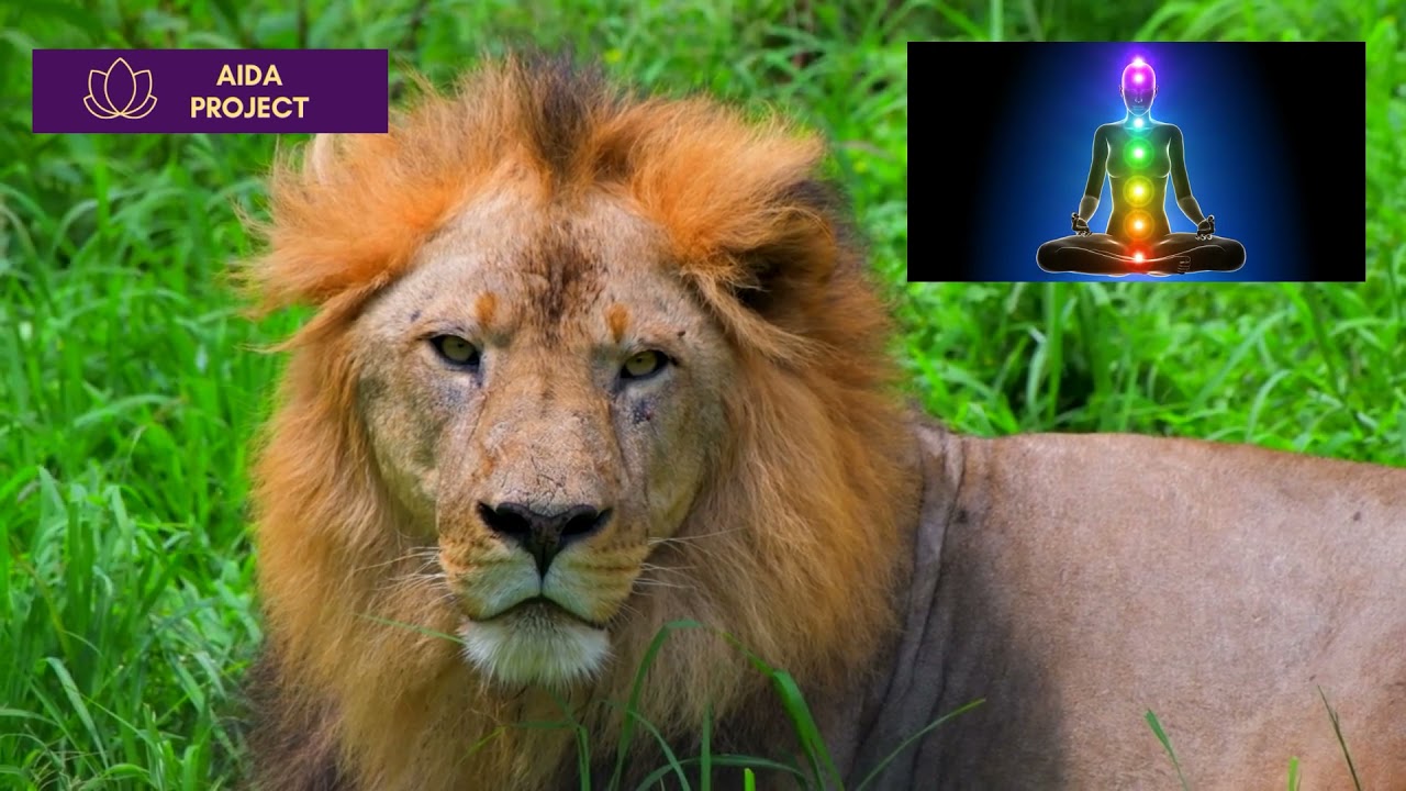 Депрессиядан чыгуу медитациясы 2021