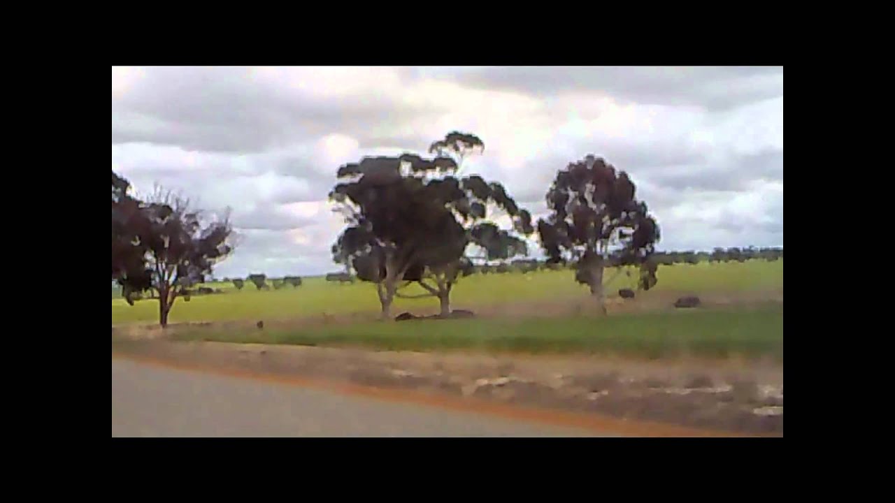 adnan bashir waverock.wmv