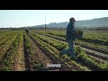 JD Hill | The Arizona Good Food Forum 2025