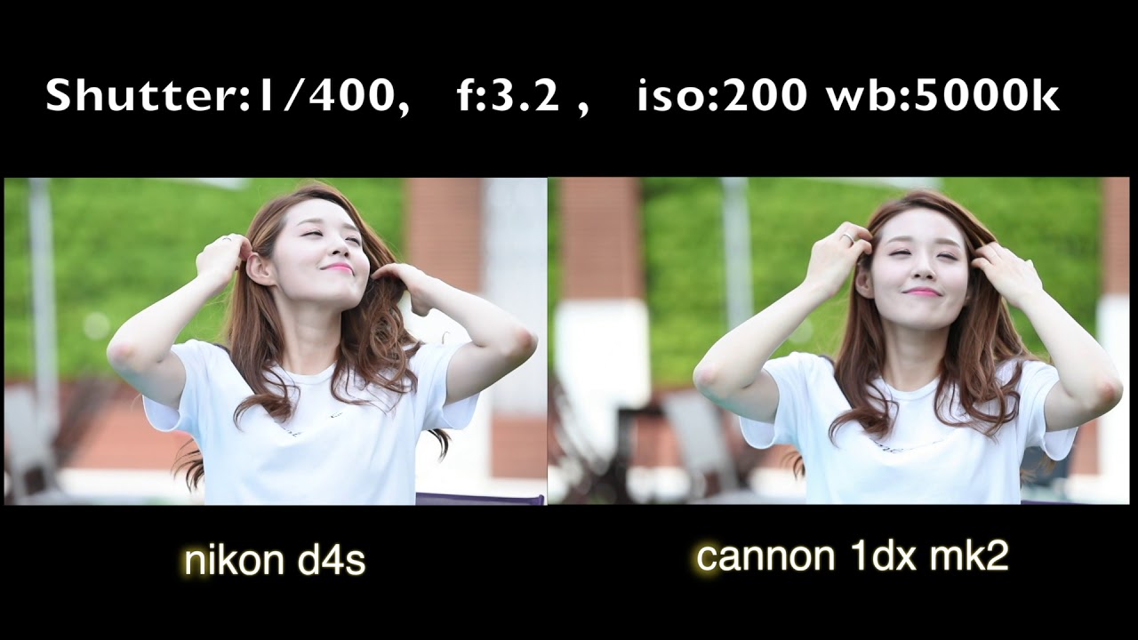 nikon vs canon YouTube