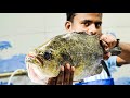 Huge Tiger Fish | Beautiful Fish Cutting | By Expert Cutter.