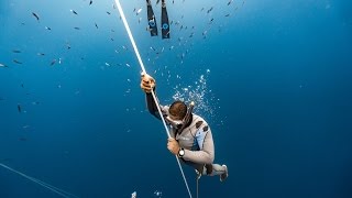 Freediving History is Made in Dominica at Blue Element