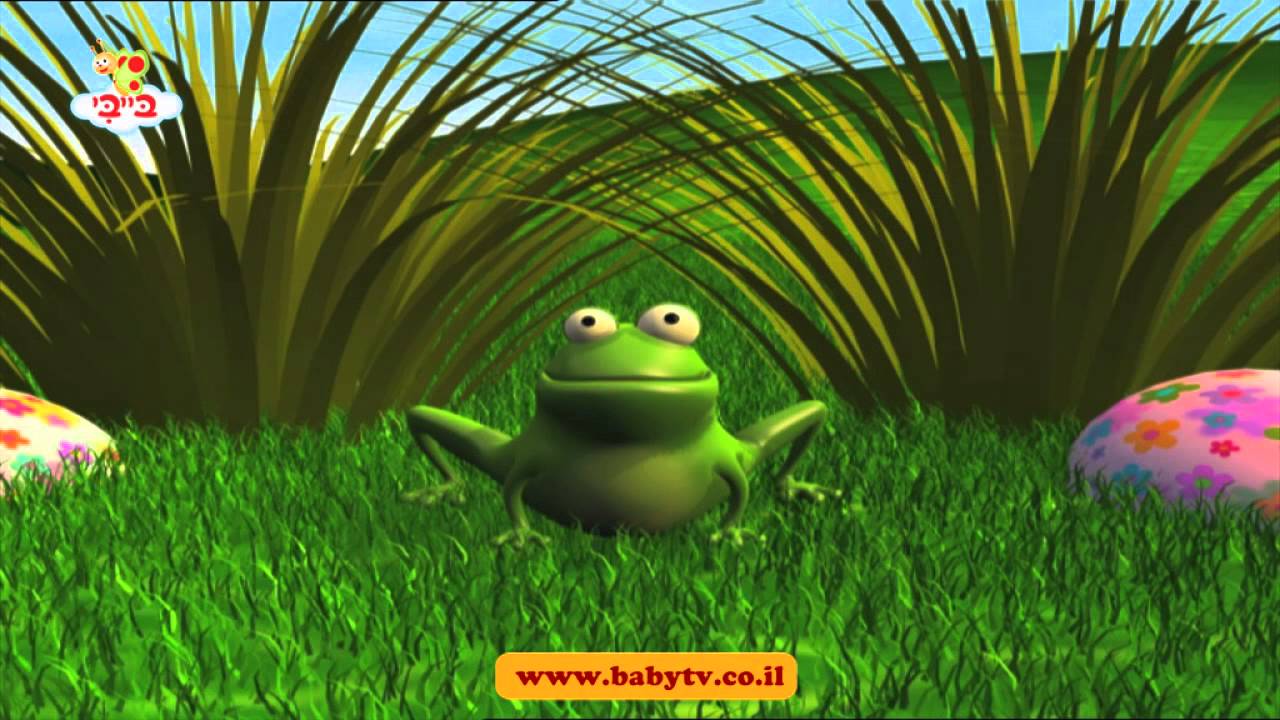 בעלי חיים ועולם החיות - מקבץ לפעוטות - 40 דקות ברצף