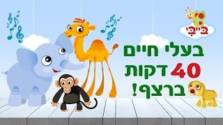 בעלי חיים ועולם החיות - מקבץ לפעוטות - 40 דקות ברצף