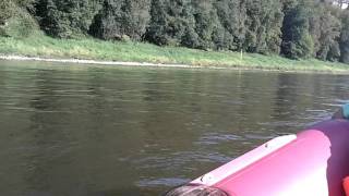 104_0106.MOV