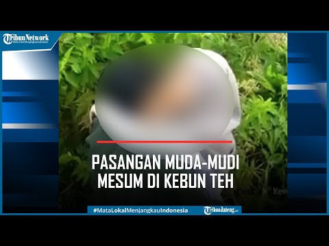 Pasangan Muda mudi Mesum di Kebun Teh Terekam CCTV