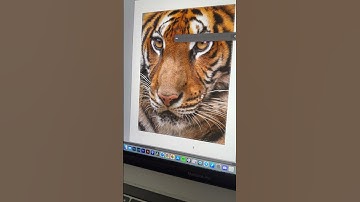 Extend A Photo with Photoshop Generative Fill AI!