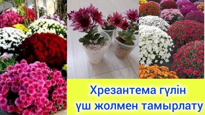 Екатерина II туралы толық метражды ретро порно фильм. Азиялық анал порно