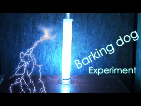 Barking Dog Chemical Experiment - Cool chemical reaction!