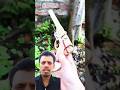 Bamboo green screen Crafts How make Short Bamboo Slingshots #slingshot #greenscreen #bambooart