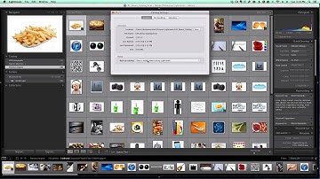 How To Force Adobe Lightroom To Back Up Your Catalog