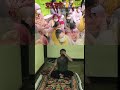 #brahmcharya 🔥||#yoga #workout #premanandjimaharaj #short
