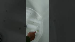 HWM 150-826 Service complain 9 #wmtvhaier #haierwashingmachine #demo #haier HWM 150-826 Service complain 9 #wmtvhaier #haierwashingmachine #demo #haier