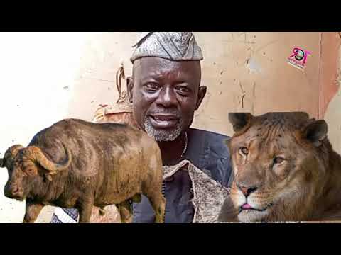 Is Hunting actually a  predominant occupation of our progenitors? Sit back and watch to the end