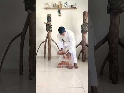 Karate Skill 3 It Brick Bricks Viral Short Video Break Brick From Egg Kung Fu Break Bricks The 