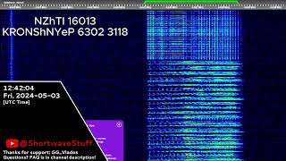 The Buzzer (4625Khz) May 3, 2024 Voice message