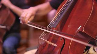 Famous Introducing Lineage Strings Net Worth