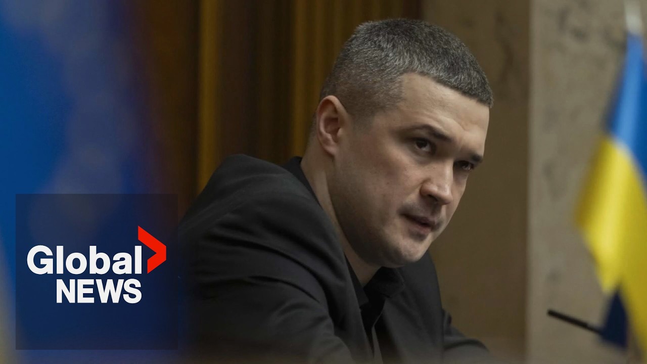Ukrainians protest after Zelenskyy fires defence minister