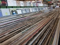 Amoeba Live Stream