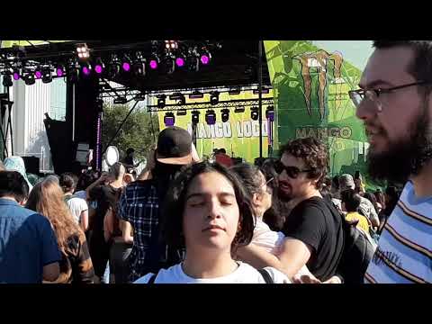 Video: Riepilogo E Revisione Del Festival Tropicalia