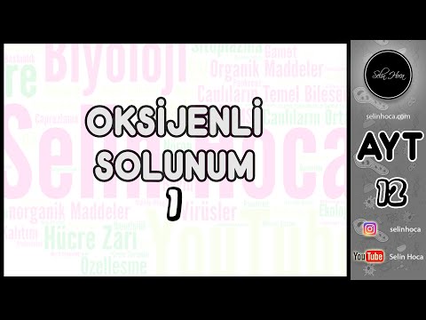 13) Oksijenli Solunum 1