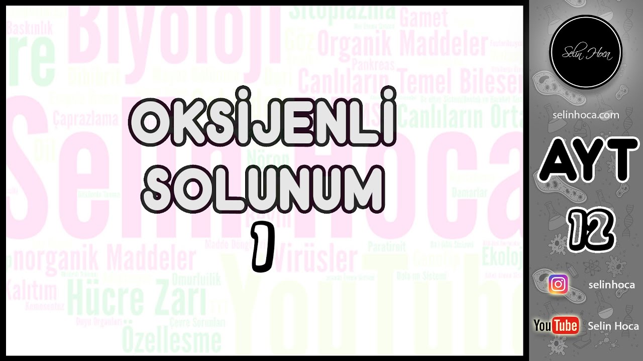 13) Oksijenli Solunum 1