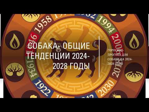 2024 2028 ГОДЫ-ГОРОСКОП И ФЕН-ШУЙ ДЛЯ РОЖДЕННЫХ В ГОДЫ СОБАКИ