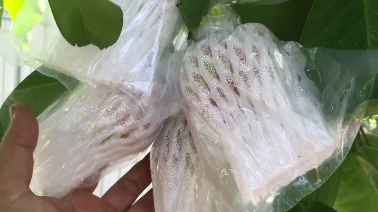 Nắng mùa này đẹp quá😍😍